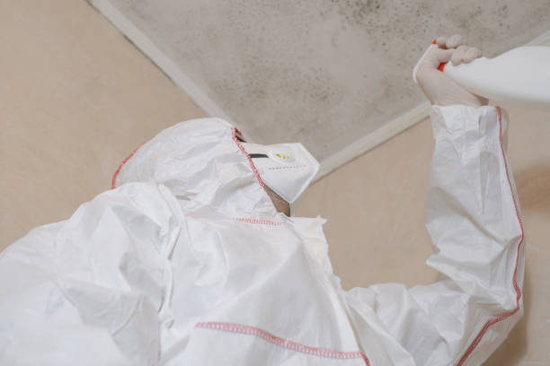 Best Residential Mold Removal  in Fair Oaks, GA
